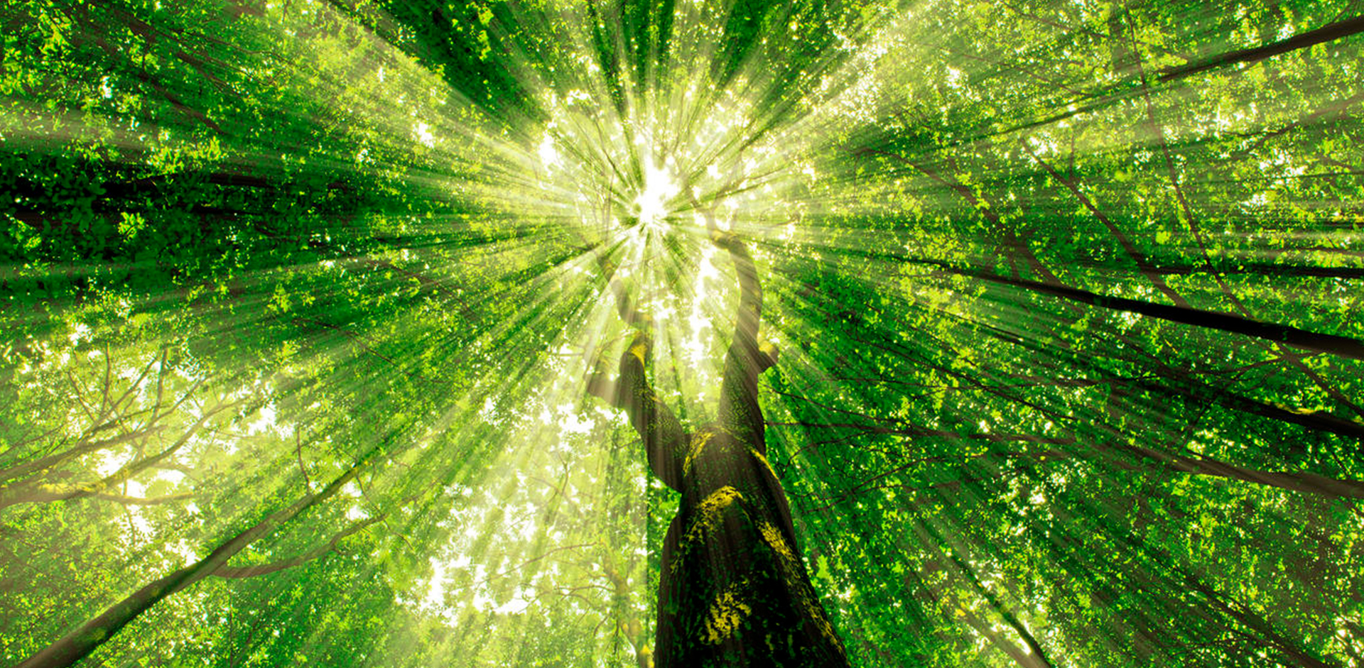 infinitude